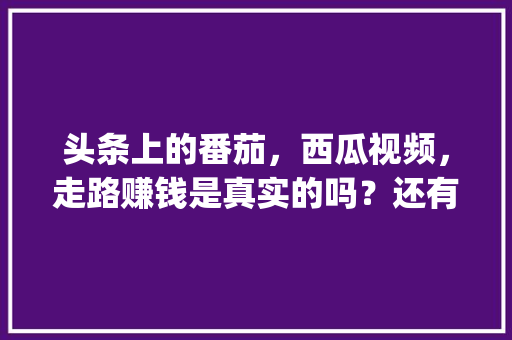 头条上的番茄，西瓜视频，走路赚钱是真实的吗？还有拼多多_种菜番茄怎么种植视频教程 头条上的番茄，西瓜视频，走路赚钱是真实的吗？还有拼多多_种菜番茄怎么种植视频教程 农业常识