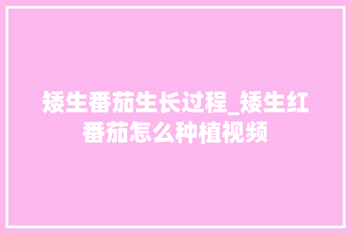 矮生番茄生长过程_矮生红番茄怎么种植视频