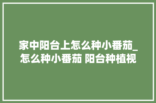 家中阳台上怎么种小番茄_怎么种小番茄 阳台种植视频 家中阳台上怎么种小番茄_怎么种小番茄 阳台种植视频 番茄种植技巧