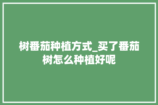 树番茄种植方式_买了番茄树怎么种植好呢 树番茄种植方式_买了番茄树怎么种植好呢 番茄种植技巧
