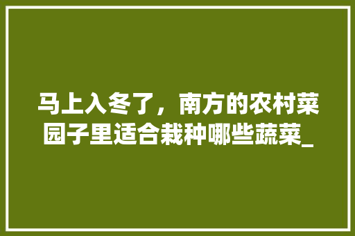 马上入冬了，南方的农村菜园子里适合栽种哪些蔬菜_矮脚番茄怎么种植好看呢视频 马上入冬了，南方的农村菜园子里适合栽种哪些蔬菜_矮脚番茄怎么种植好看呢视频 番茄病虫害防治
