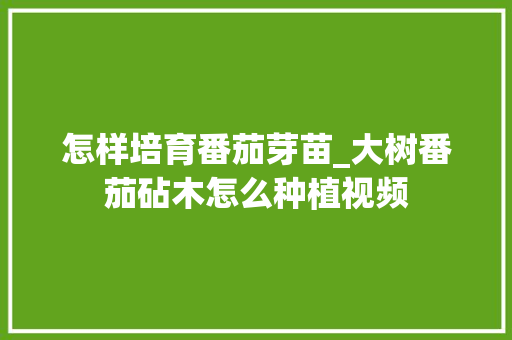 怎样培育番茄芽苗_大树番茄砧木怎么种植视频 怎样培育番茄芽苗_大树番茄砧木怎么种植视频 番茄种植技巧