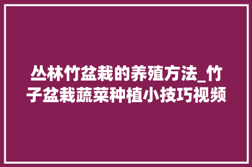 丛林竹盆栽的养殖方法_竹子盆栽蔬菜种植小技巧视频 丛林竹盆栽的养殖方法_竹子盆栽蔬菜种植小技巧视频 花朵知识