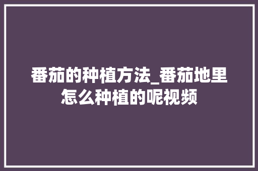 番茄的种植方法_番茄地里怎么种植的呢视频