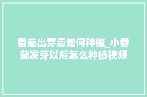 番茄出芽后如何种植_小番茄发芽以后怎么种植视频