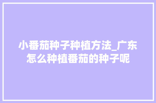 小番茄种子种植方法_广东怎么种植番茄的种子呢 小番茄种子种植方法_广东怎么种植番茄的种子呢 番茄种植技巧