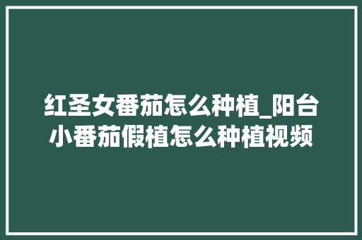 红圣女番茄怎么种植_阳台小番茄假植怎么种植视频