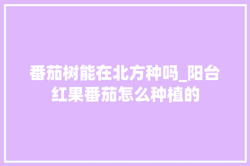 番茄树能在北方种吗_阳台红果番茄怎么种植的