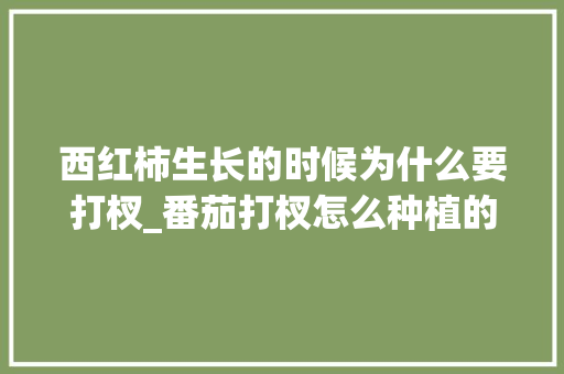 西红柿生长的时候为什么要打杈_番茄打杈怎么种植的视频 西红柿生长的时候为什么要打杈_番茄打杈怎么种植的视频 土壤施肥