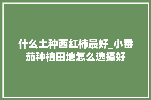 什么土种西红柿最好_小番茄种植田地怎么选择好 什么土种西红柿最好_小番茄种植田地怎么选择好 农业常识