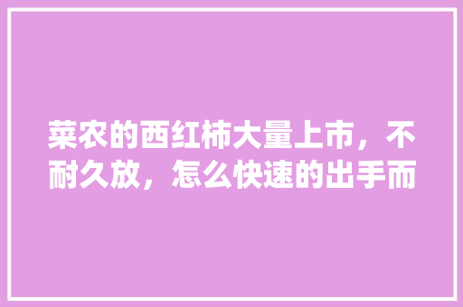 菜农的西红柿大量上市，不耐久放，怎么快速的出手而又不至于赔钱_番茄怎么种植最赚钱呢 菜农的西红柿大量上市，不耐久放，怎么快速的出手而又不至于赔钱_番茄怎么种植最赚钱呢 花朵知识