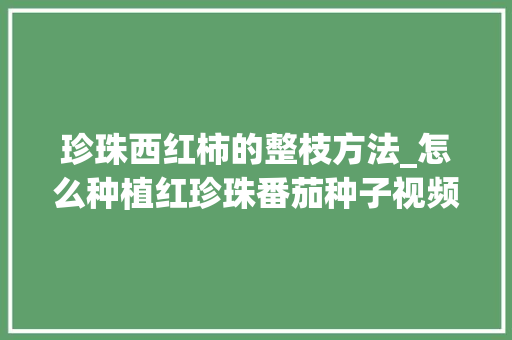 珍珠西红柿的整枝方法_怎么种植红珍珠番茄种子视频 珍珠西红柿的整枝方法_怎么种植红珍珠番茄种子视频 植物种类