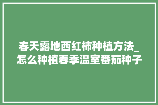 春天露地西红柿种植方法_怎么种植春季温室番茄种子