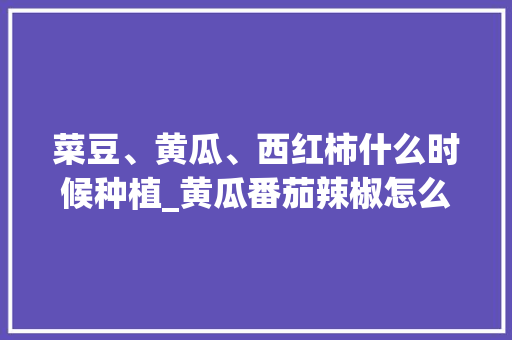 菜豆、黄瓜、西红柿什么时候种植_黄瓜番茄辣椒怎么种植的视频 菜豆、黄瓜、西红柿什么时候种植_黄瓜番茄辣椒怎么种植的视频 农业常识