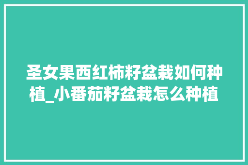 圣女果西红柿籽盆栽如何种植_小番茄籽盆栽怎么种植视频 圣女果西红柿籽盆栽如何种植_小番茄籽盆栽怎么种植视频 种植技巧