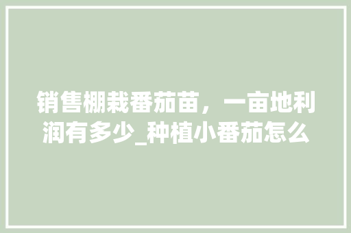 销售棚栽番茄苗，一亩地利润有多少_种植小番茄怎么销售的 销售棚栽番茄苗，一亩地利润有多少_种植小番茄怎么销售的 植物种类