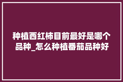 种植西红柿目前最好是哪个品种_怎么种植番茄品种好看又好养 种植西红柿目前最好是哪个品种_怎么种植番茄品种好看又好养 种植技巧