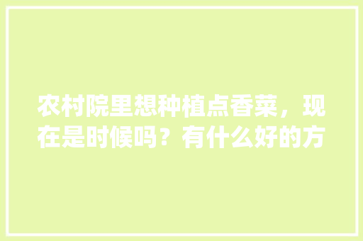 农村院里想种植点香菜，现在是时候吗？有什么好的方法_蔬菜种植防倒伏技巧视频教程 农村院里想种植点香菜，现在是时候吗？有什么好的方法_蔬菜种植防倒伏技巧视频教程 番茄种植技巧