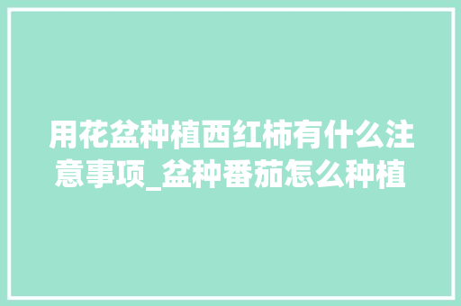 用花盆种植西红柿有什么注意事项_盆种番茄怎么种植方法视频 用花盆种植西红柿有什么注意事项_盆种番茄怎么种植方法视频 种植技巧