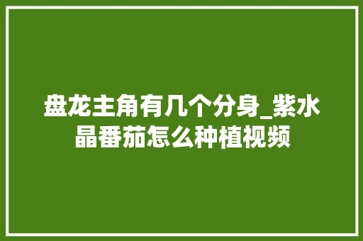 盘龙主角有几个分身_紫水晶番茄怎么种植视频 盘龙主角有几个分身_紫水晶番茄怎么种植视频 花朵知识