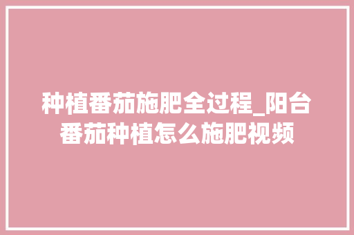 种植番茄施肥全过程_阳台番茄种植怎么施肥视频 植物种类 种植番茄施肥全过程_阳台番茄种植怎么施肥视频 种植番茄施肥全过程_阳台番茄种植怎么施肥视频 植物种类