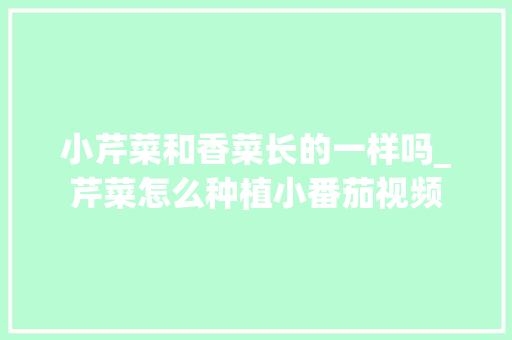 小芹菜和香菜长的一样吗_芹菜怎么种植小番茄视频