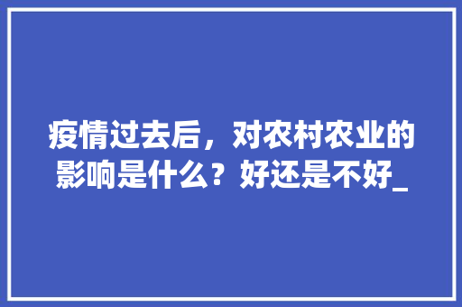疫情过去后，对农村农业的影响是什么？好还是不好_903番茄新品种