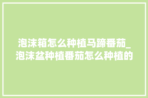 泡沫箱怎么种植马蹄番茄_泡沫盆种植番茄怎么种植的 番茄病虫害防治 泡沫箱怎么种植马蹄番茄_泡沫盆种植番茄怎么种植的 泡沫箱怎么种植马蹄番茄_泡沫盆种植番茄怎么种植的 番茄病虫害防治