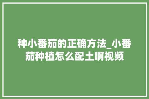 种小番茄的正确方法_小番茄种植怎么配土啊视频 种小番茄的正确方法_小番茄种植怎么配土啊视频 土壤施肥