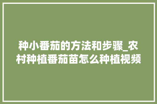 种小番茄的方法和步骤_农村种植番茄苗怎么种植视频 种小番茄的方法和步骤_农村种植番茄苗怎么种植视频 番茄病虫害防治