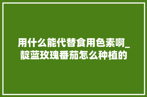 用什么能代替食用色素啊_靛蓝玫瑰番茄怎么种植的
