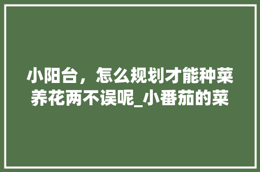 小阳台，怎么规划才能种菜养花两不误呢_小番茄的菜园怎么种植视频 小阳台，怎么规划才能种菜养花两不误呢_小番茄的菜园怎么种植视频 农业常识