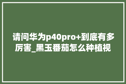 请问华为p40pro+到底有多厉害_黑玉番茄怎么种植视频教程 请问华为p40pro+到底有多厉害_黑玉番茄怎么种植视频教程 番茄病虫害防治