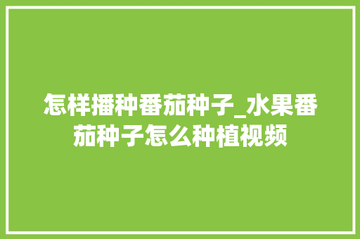 怎样播种番茄种子_水果番茄种子怎么种植视频 怎样播种番茄种子_水果番茄种子怎么种植视频 农业常识