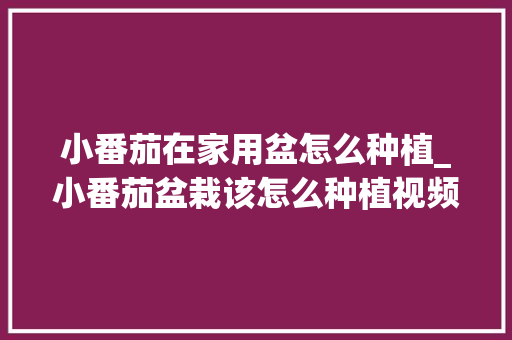 小番茄在家用盆怎么种植_小番茄盆栽该怎么种植视频 小番茄在家用盆怎么种植_小番茄盆栽该怎么种植视频 农业常识