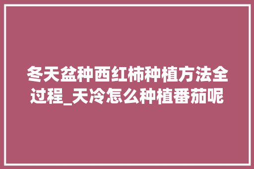 冬天盆种西红柿种植方法全过程_天冷怎么种植番茄呢视频 冬天盆种西红柿种植方法全过程_天冷怎么种植番茄呢视频 植物种类