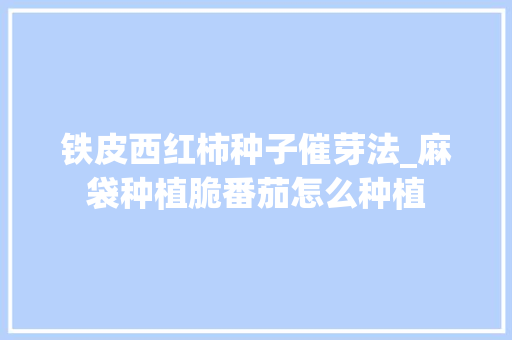 铁皮西红柿种子催芽法_麻袋种植脆番茄怎么种植 铁皮西红柿种子催芽法_麻袋种植脆番茄怎么种植 植物种类