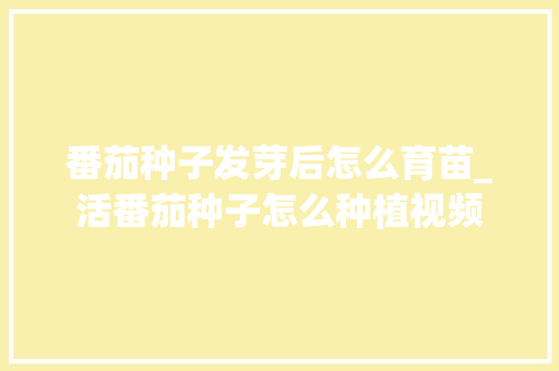 番茄种子发芽后怎么育苗_活番茄种子怎么种植视频 番茄种子发芽后怎么育苗_活番茄种子怎么种植视频 花朵知识