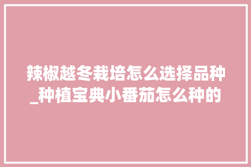 辣椒越冬栽培怎么选择品种_种植宝典小番茄怎么种的 辣椒越冬栽培怎么选择品种_种植宝典小番茄怎么种的 植物种类