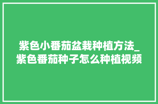 紫色小番茄盆栽种植方法_紫色番茄种子怎么种植视频 紫色小番茄盆栽种植方法_紫色番茄种子怎么种植视频 土壤施肥