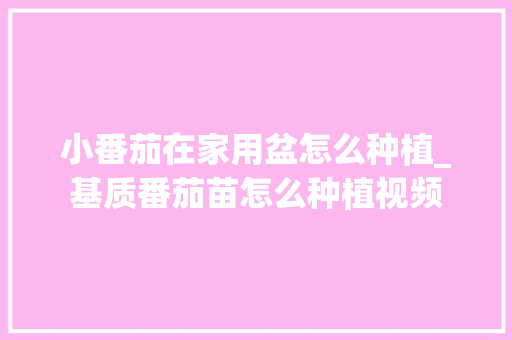 小番茄在家用盆怎么种植_基质番茄苗怎么种植视频 小番茄在家用盆怎么种植_基质番茄苗怎么种植视频 土壤施肥