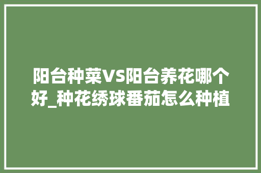 阳台种菜VS阳台养花哪个好_种花绣球番茄怎么种植的视频 阳台种菜VS阳台养花哪个好_种花绣球番茄怎么种植的视频 土壤施肥
