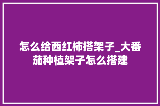 怎么给西红柿搭架子_大番茄种植架子怎么搭建
