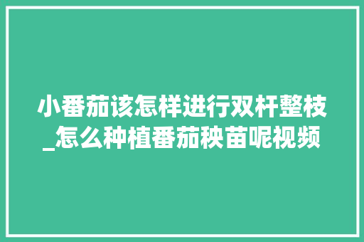 小番茄该怎样进行双杆整枝_怎么种植番茄秧苗呢视频教程 小番茄该怎样进行双杆整枝_怎么种植番茄秧苗呢视频教程 番茄种植技巧