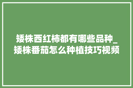 矮株西红柿都有哪些品种_矮株番茄怎么种植技巧视频 矮株西红柿都有哪些品种_矮株番茄怎么种植技巧视频 番茄病虫害防治