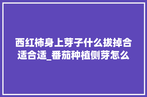 西红柿身上芽子什么拔掉合适合适_番茄种植侧芽怎么处理好 西红柿身上芽子什么拔掉合适合适_番茄种植侧芽怎么处理好 农业常识