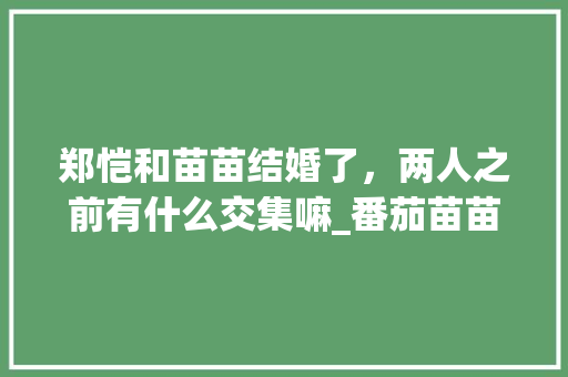 郑恺和苗苗结婚了，两人之前有什么交集嘛_番茄苗苗怎么种植的呢视频