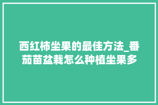 西红柿坐果的最佳方法_番茄苗盆栽怎么种植坐果多