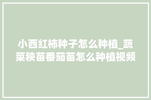 小西红柿种子怎么种植_蔬菜秧苗番茄苗怎么种植视频 小西红柿种子怎么种植_蔬菜秧苗番茄苗怎么种植视频 农业常识