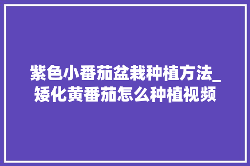 紫色小番茄盆栽种植方法_矮化黄番茄怎么种植视频 紫色小番茄盆栽种植方法_矮化黄番茄怎么种植视频 番茄病虫害防治